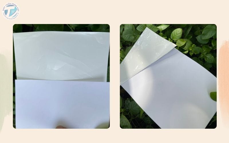 Decal PP linh hoạt với nhiều loại bề mặt